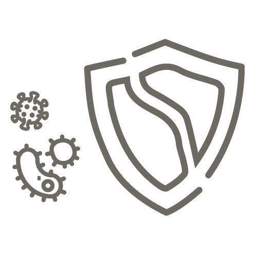 NOMA-Icon-Immunsystem.png