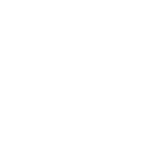 NOMA-Icon-Medikamente.png