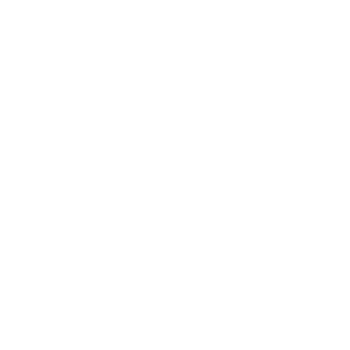 NOMA-Icon-Nahrungsmittel-weiss.png