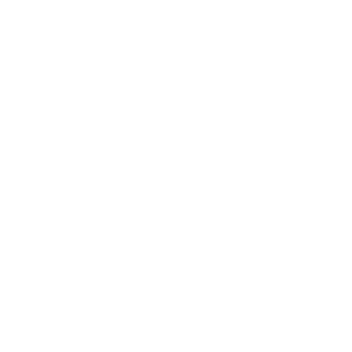 NOMA-Icon-OP-weiss.png