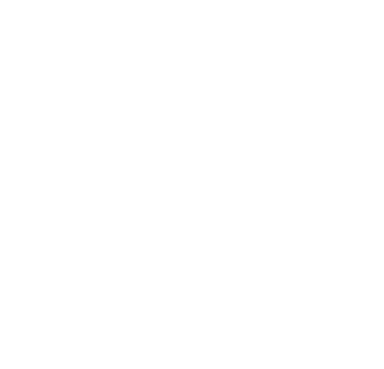 NOMA-Kreis-weiss-transparent.png