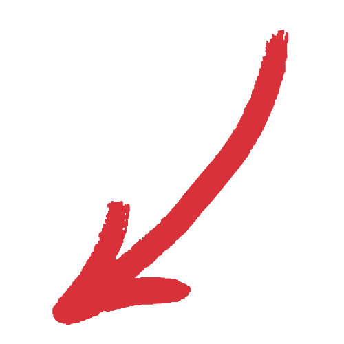 NOMA-Pfeil-links.png
